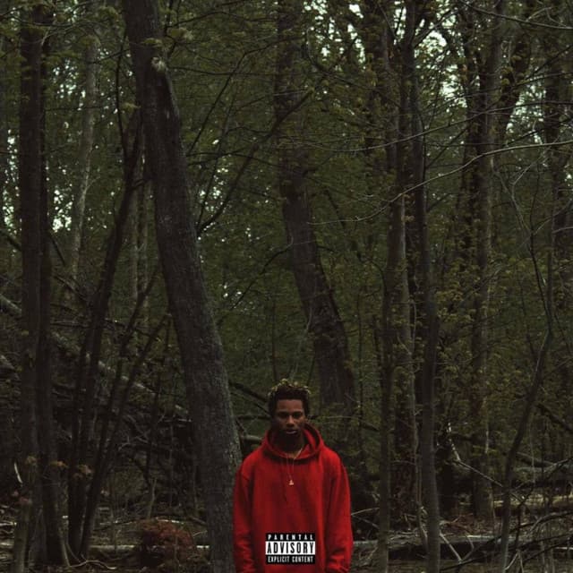 Boy Red artwork