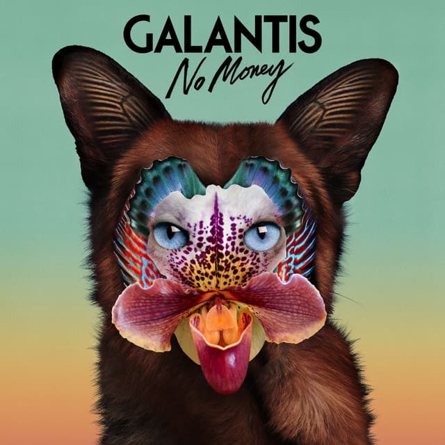 No Money artwork
