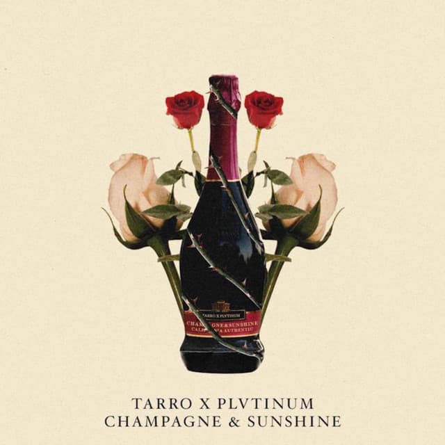 Champagne artwork