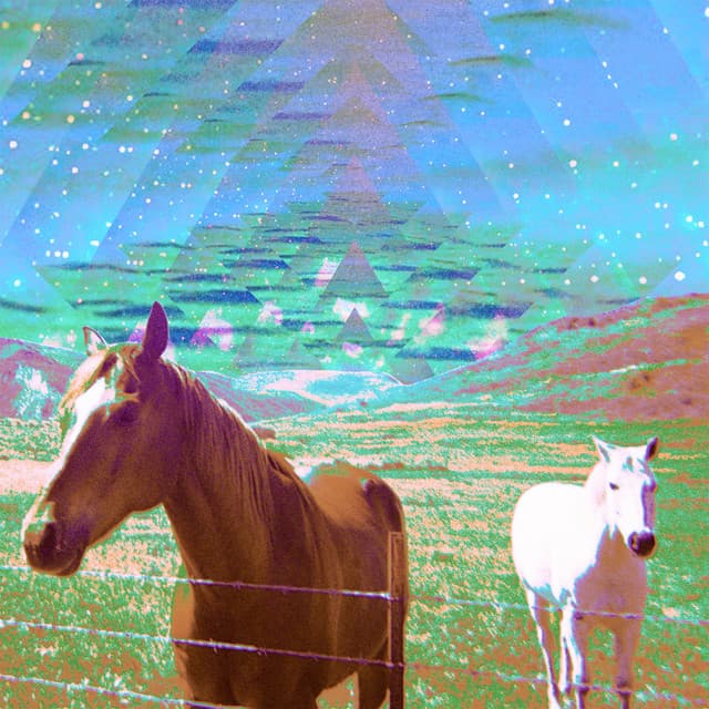 Feels artwork